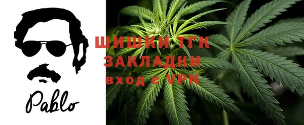 гидропоника Алзамай