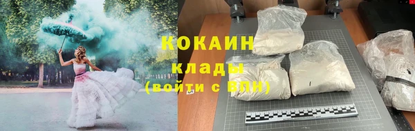 прущие грибы Абинск