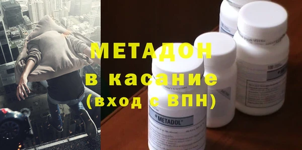 прущие грибы Абинск