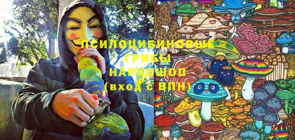 гидропоника Алзамай