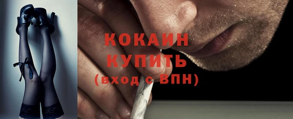 прущие грибы Абинск