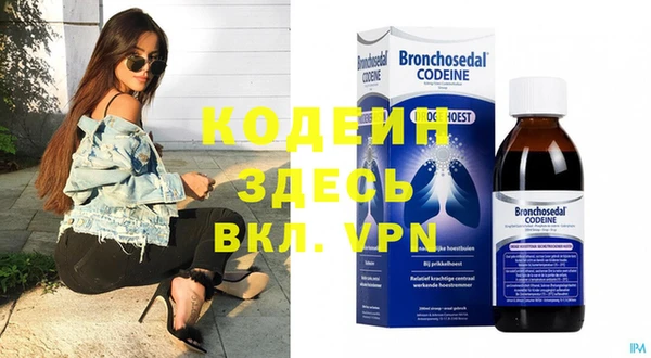 прущие грибы Алексеевка