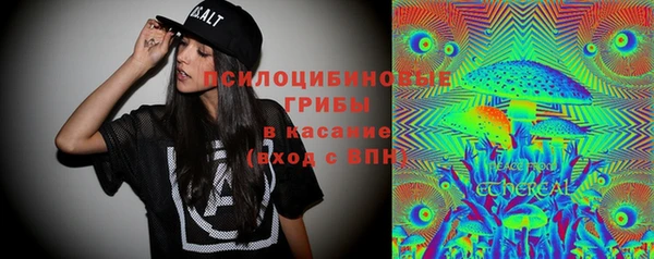гидропоника Алзамай