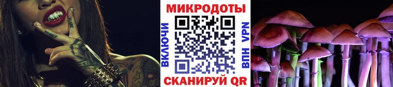 Галлюциногенные грибы Psilocybine cubensis  Кинель 
